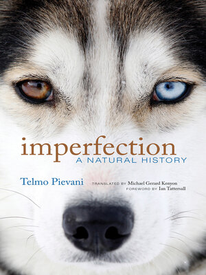 cover image of Imperfection